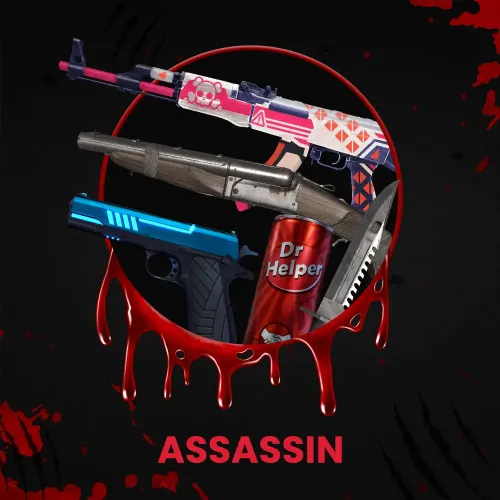 ASSASSIN #325