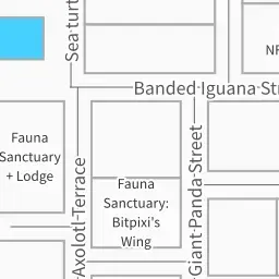 5BandedIguanaStreet #6984