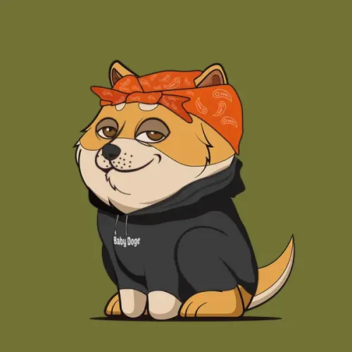 BabyDoge #9929