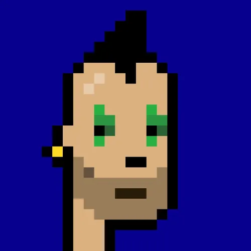 BRC 2.0 PUNK #2209 (#100779841)