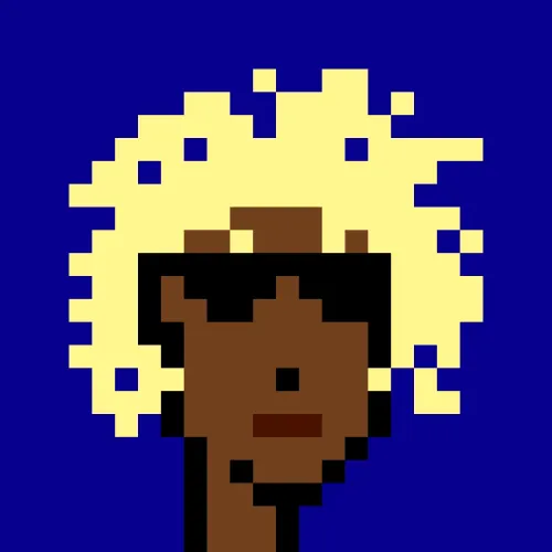 BRC 2.0 PUNK #4893 (#100776946)
