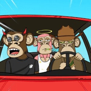 Monkey Crazed #70