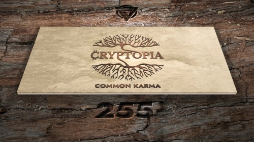 Cryptopia KARMA NFTs #255