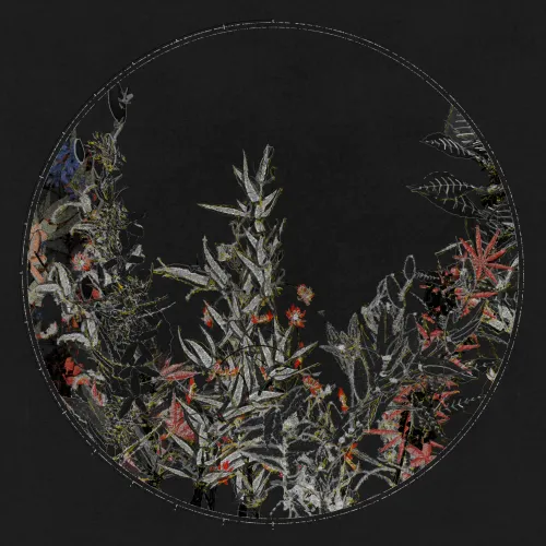 Polypaths | 植徑集 #342