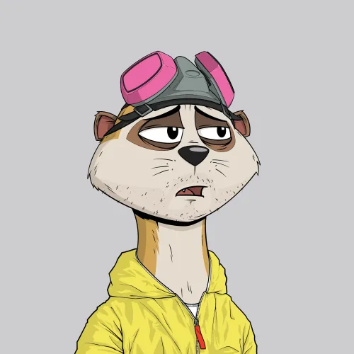 Worried Meerkat #72