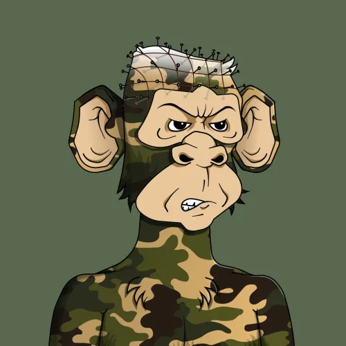Monkey #1565