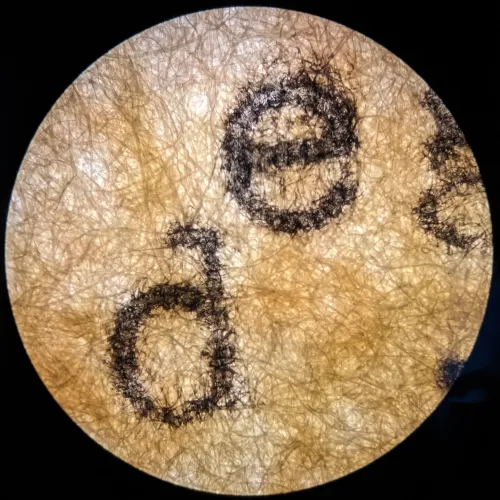 Microtype #04