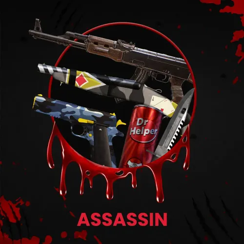 ASSASSIN #507