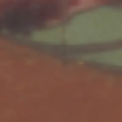 TokenID 4504 #4504