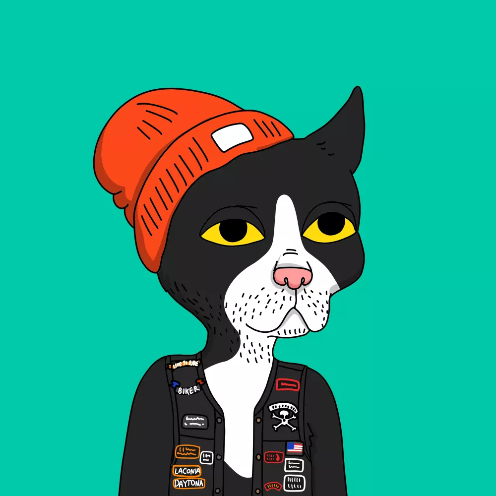 Gutter Cat #2211