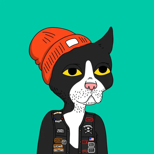 Gutter Cat #2211