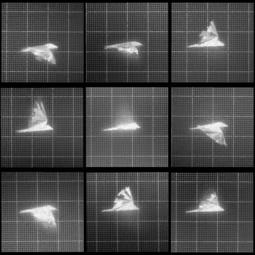 Chronophotograph 103 #103