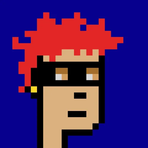 BRC 2.0 PUNK #8947 (#100769642)