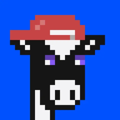 #7998