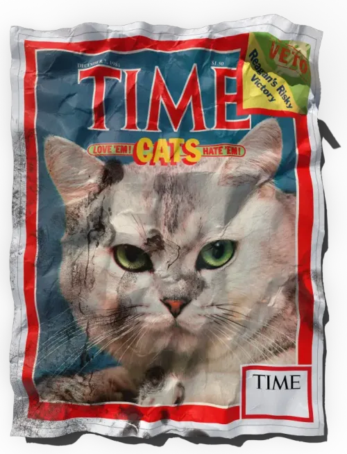 TIME Cats Love 'em! Hate 'em! - December 7th, 1981 #6834