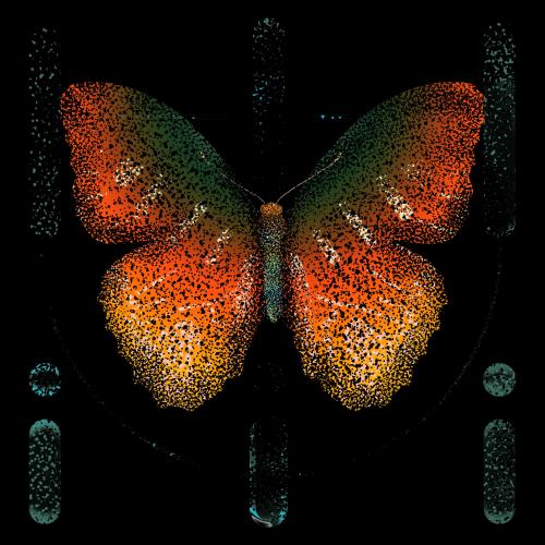 Monarch #680