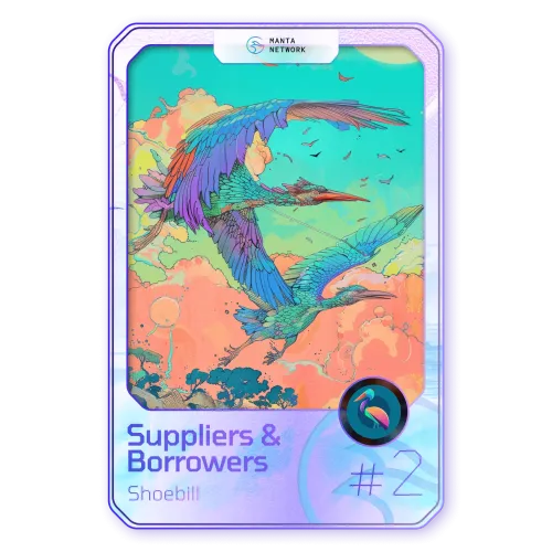 Suppliers & Borrowers #2