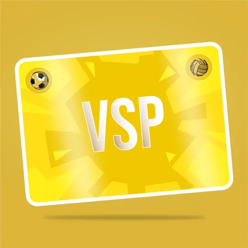VaynerSports Pass #2866