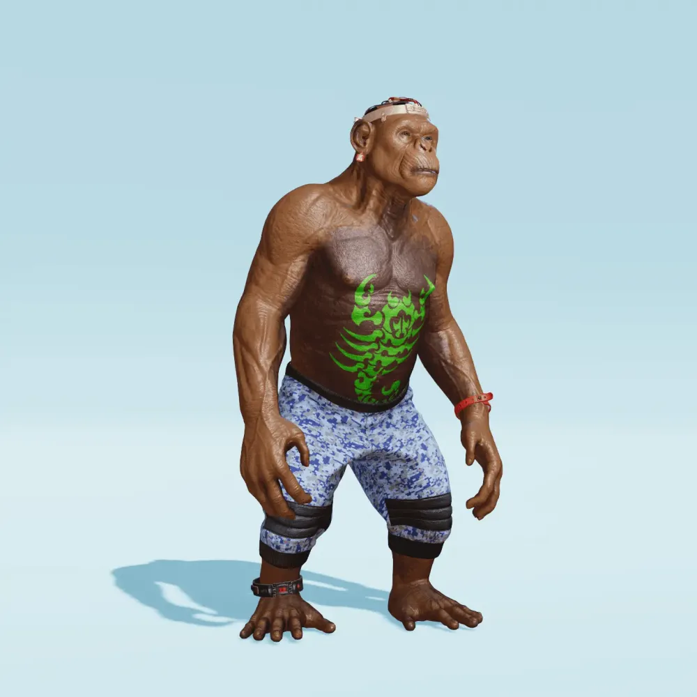 BR1 Character #2443