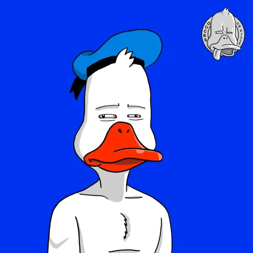 Duck #5481