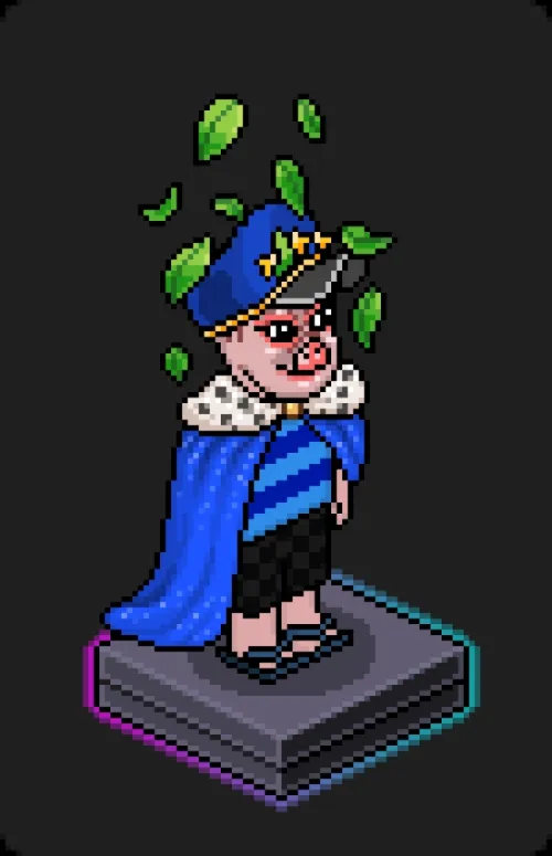 Habbo Crafted Avatar #1884