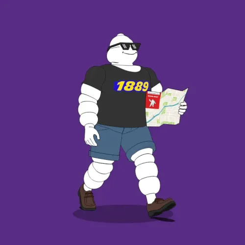 Michelin 3xplorer #876