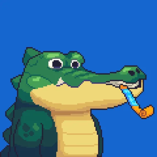 Croc #4649