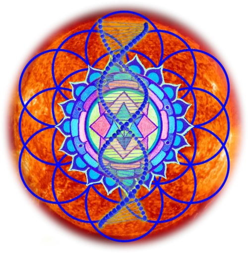 SETHIX-QR GRiD #106