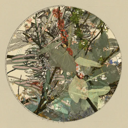 Polypaths | 植徑集 #251