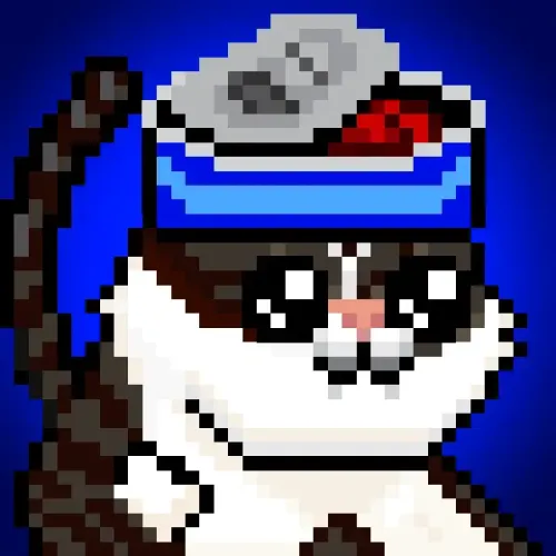 YOLOCat #23