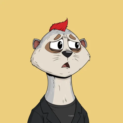 Worried Meerkat #112