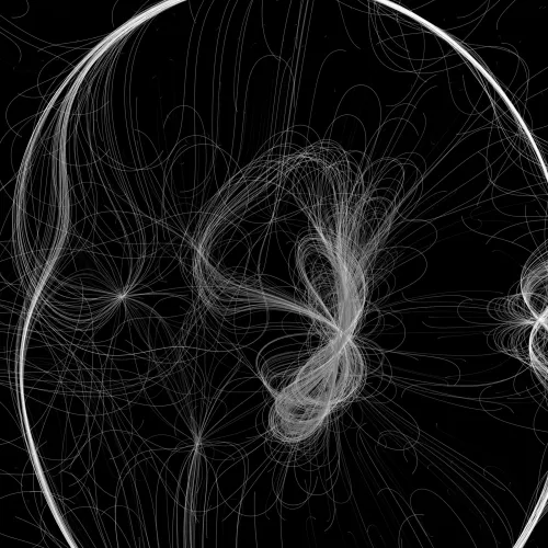 Phototaxis #575