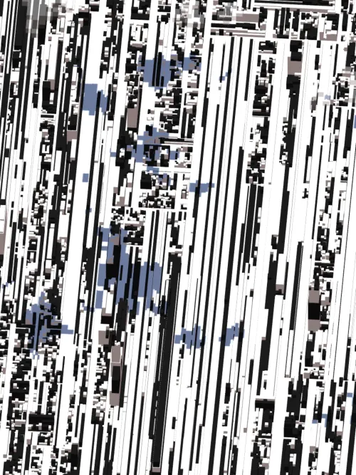 Democracity #893