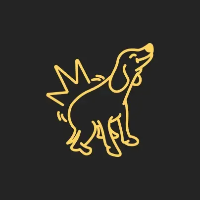 DONK DAO Pass