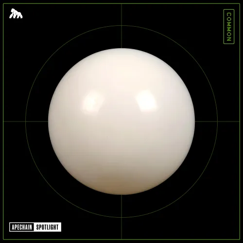 #213702