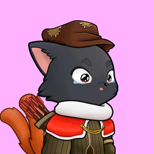 Racoonk #202