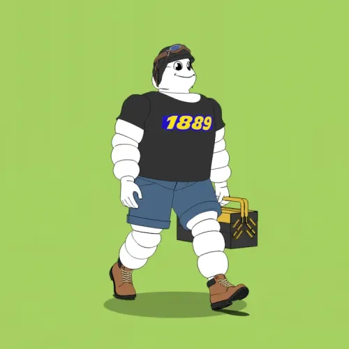 Michelin 3xplorer #496