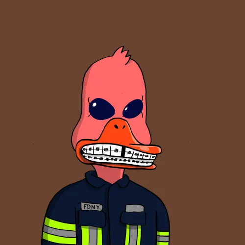 Duck ＃72
