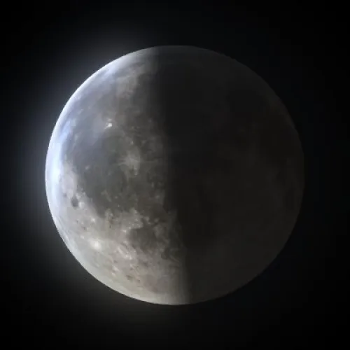 Last Quarter (#93318860)