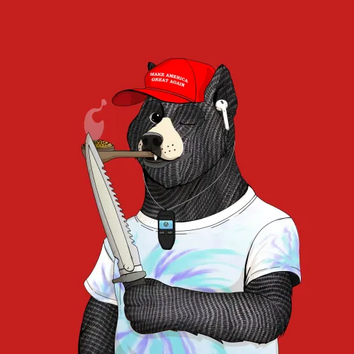 Doge #1865