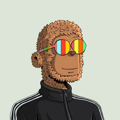 y00t #8297