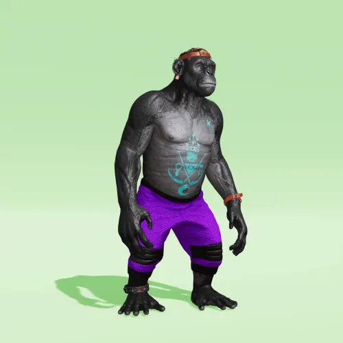 BR1 Character #455