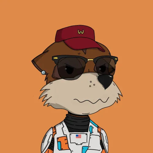 Meerkat #2280