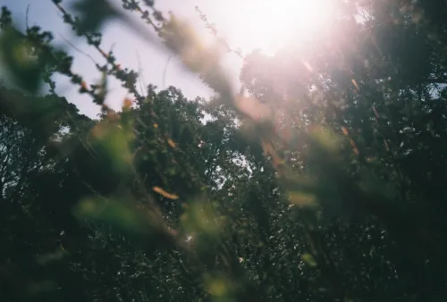 flare #7
