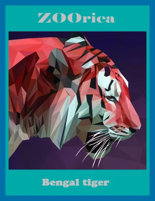 BENGAL TIGER #446