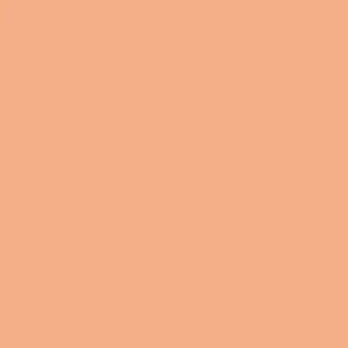 Background: Orange #1300719