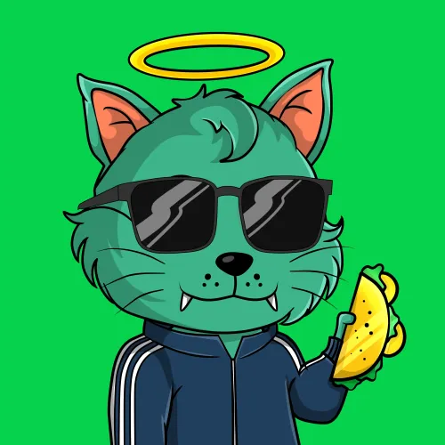 Taco Gato #140