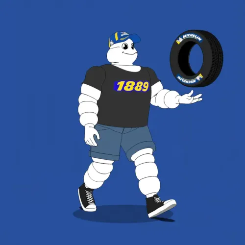 Michelin 3xplorer #2029