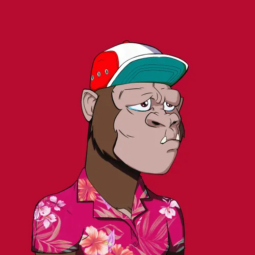 Kong #242