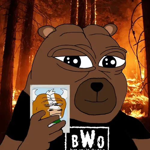 Bobo Council #55